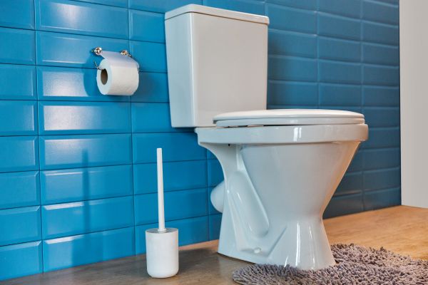 Cost of Toilet Tank Repair in Kernersville