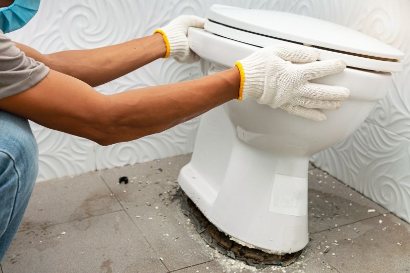 Backed Up Toilet Repair